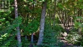 51 LAKEWOOD COUNTRY LANE | Lion's Head Ontario | Slide Image Fourteen