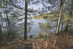 3 ISLAND 20LM ISLAND | Gravenhurst Ontario | Slide Image Forty-two