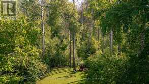 174 TIMMONS STREET | The Blue Mountains Ontario | Slide Image Forty-one
