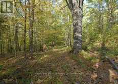 2 - 1112 SAM COOK ROAD | Gravenhurst Ontario | Slide Image Thirteen