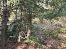 2 - 1112 SAM COOK ROAD | Gravenhurst Ontario | Slide Image Eighteen