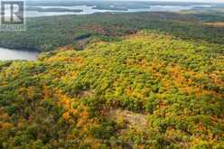 ACROSS FROM 1210 ROSTREVOR ROAD | Muskoka Lakes Ontario | Slide Image Eleven
