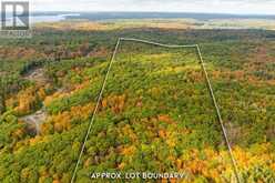 ACROSS FROM 1210 ROSTREVOR ROAD | Muskoka Lakes Ontario | Slide Image Twelve