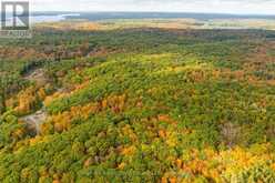 ACROSS FROM 1210 ROSTREVOR ROAD | Muskoka Lakes Ontario | Slide Image Thirteen