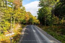 ACROSS FROM 1210 ROSTREVOR ROAD | Muskoka Lakes Ontario | Slide Image Three