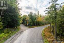ACROSS FROM 1210 ROSTREVOR ROAD | Muskoka Lakes Ontario | Slide Image Four