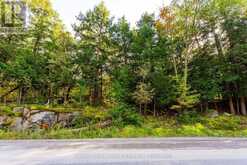 ACROSS FROM 1210 ROSTREVOR ROAD | Muskoka Lakes Ontario | Slide Image Five