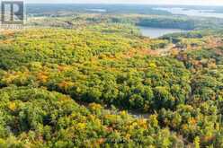 ACROSS FROM 1210 ROSTREVOR ROAD | Muskoka Lakes Ontario | Slide Image Seven