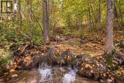529685 PRETTY RIVER RD. TOWNLINE N | Thornbury Ontario | Slide Image Forty-one