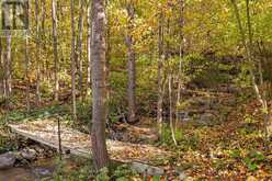 529685 PRETTY RIVER RD. TOWNLINE N | Thornbury Ontario | Slide Image Forty-two