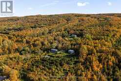 529685 PRETTY RIVER RD. TOWNLINE N | Thornbury Ontario | Slide Image Forty-five