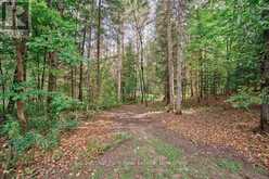 123 EAST WASEOSA LK ROAD | Huntsville Ontario | Slide Image Forty-four