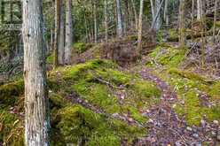 PART LOT 21 CAPE CHIN NORTH SHORE ROAD | Lion's Head Ontario | Slide Image Ten