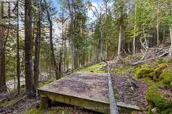 PART LOT 21 CAPE CHIN NORTH SHORE ROAD | Lion's Head Ontario | Slide Image Twelve