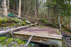 PART LOT 21 CAPE CHIN NORTH SHORE ROAD | Lion's Head Ontario | Slide Image Thirteen