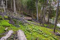 PART LOT 21 CAPE CHIN NORTH SHORE ROAD | Lion's Head Ontario | Slide Image Fourteen