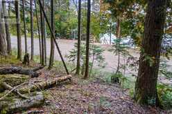 PART LOT 21 CAPE CHIN NORTH SHORE ROAD | Lion's Head Ontario | Slide Image Fifteen