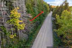 PART LOT 21 CAPE CHIN NORTH SHORE ROAD | Lion's Head Ontario | Slide Image Five