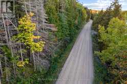 PART LOT 21 CAPE CHIN NORTH SHORE ROAD | Lion's Head Ontario | Slide Image Six