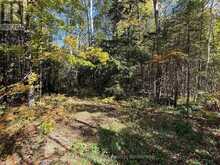 PT LT 1-2 CONCESSION 3 | Owen Sound Ontario | Slide Image Two