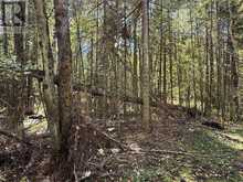 PT LT 1-2 CONCESSION 3 | Owen Sound Ontario | Slide Image Seven