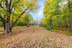 1259 GOLF COURSE ROAD | Huntsville Ontario | Slide Image Four