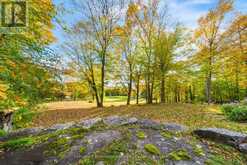1259 GOLF COURSE ROAD | Huntsville Ontario | Slide Image Eight