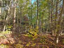 PT LT 13 CON 9 35 HIGHWAY | Minden Hills Ontario | Slide Image Two