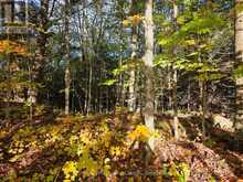 PT LT 13 CON 9 35 HIGHWAY | Minden Hills Ontario | Slide Image Three