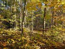 PT LT 13 CON 9 35 HIGHWAY | Minden Hills Ontario | Slide Image Four