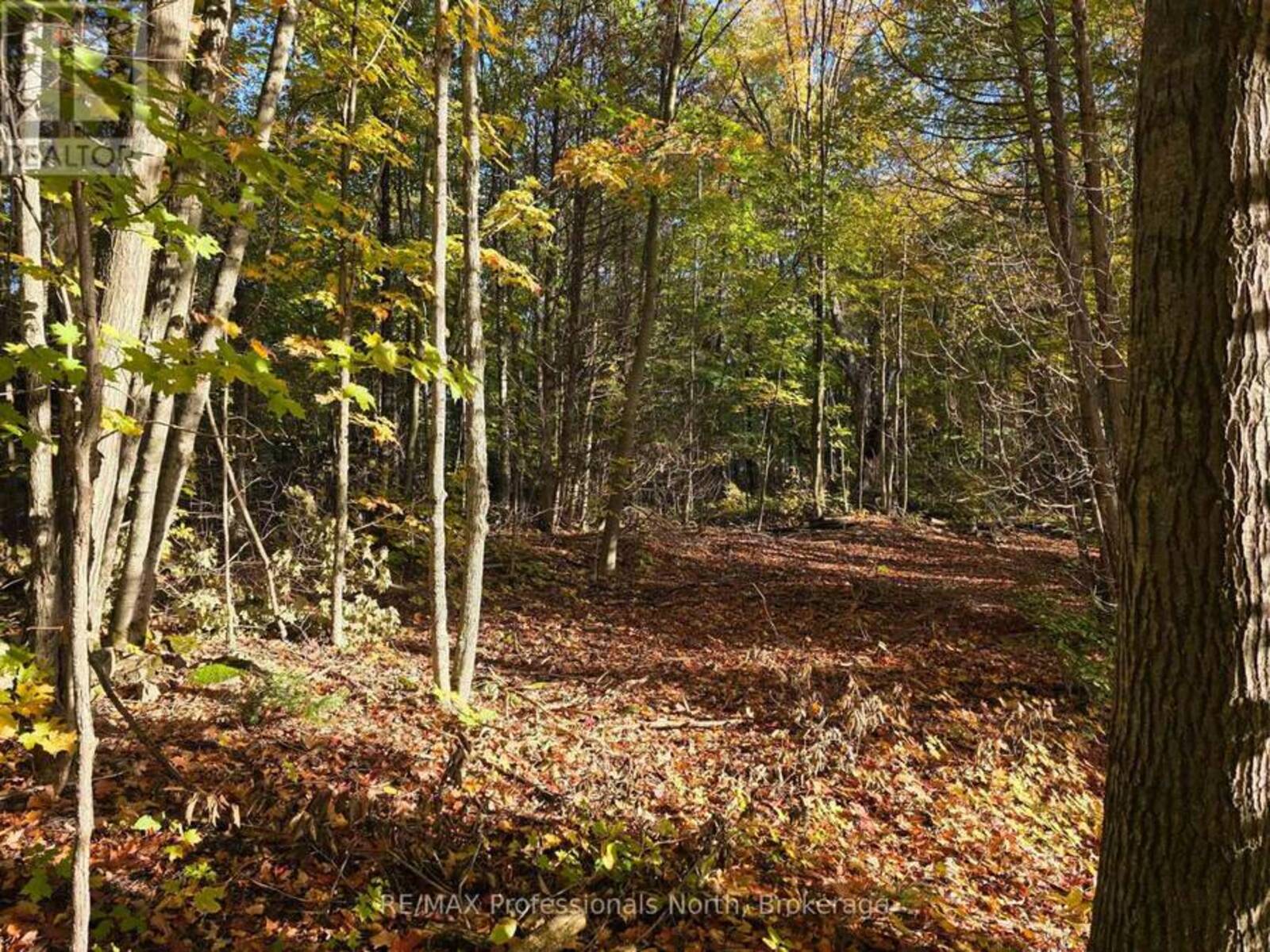 PT LT 13 CON 9 35 HIGHWAY, Minden Hills, Ontario K0M 2K0