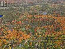 0 CONTAU LAKE ROAD | Highlands East Ontario | Slide Image Two