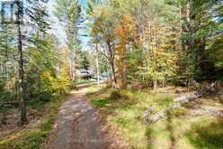 862 LYNX LAKE Road | Huntsville Ontario | Slide Image Thirty-two