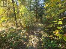 10010 THE TRAIL | Grand Bend Ontario | Slide Image Forty-two