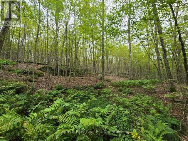 00 OLD TRACK ROAD Emsdale Ontario, P0A 1J0 - Vacant Land For Sale