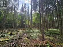 00 OLD TRACK ROAD | Emsdale Ontario | Slide Image Twelve
