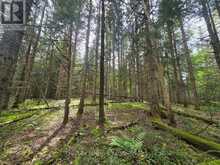00 OLD TRACK ROAD | Emsdale Ontario | Slide Image Thirteen