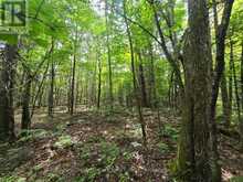 00 OLD TRACK ROAD | Emsdale Ontario | Slide Image Fourteen