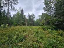 00 OLD TRACK ROAD | Emsdale Ontario | Slide Image Fifteen