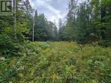 00 OLD TRACK ROAD | Emsdale Ontario | Slide Image Sixteen