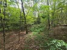 00 OLD TRACK ROAD | Emsdale Ontario | Slide Image Nineteen