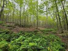 00 OLD TRACK ROAD | Emsdale Ontario | Slide Image One