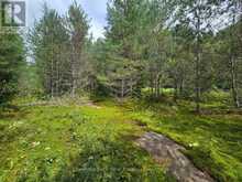 00 OLD TRACK ROAD | Emsdale Ontario | Slide Image Twenty-eight