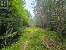 00 OLD TRACK ROAD | Emsdale Ontario | Slide Image Two