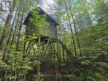 00 OLD TRACK ROAD | Emsdale Ontario | Slide Image Four