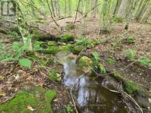 00 OLD TRACK ROAD | Emsdale Ontario | Slide Image Five