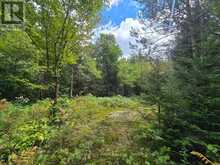 00 OLD TRACK ROAD | Emsdale Ontario | Slide Image Eight