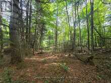 00 OLD TRACK ROAD | Emsdale Ontario | Slide Image Nine
