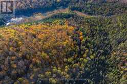 00 OLD TRACK ROAD | Emsdale Ontario | Slide Image Thirty
