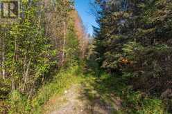 00 OLD TRACK ROAD | Emsdale Ontario | Slide Image Thirty-five